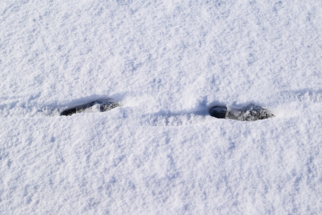 降水量1mm どのくらい雪は積もる? 被害の予想と対策を紹介!