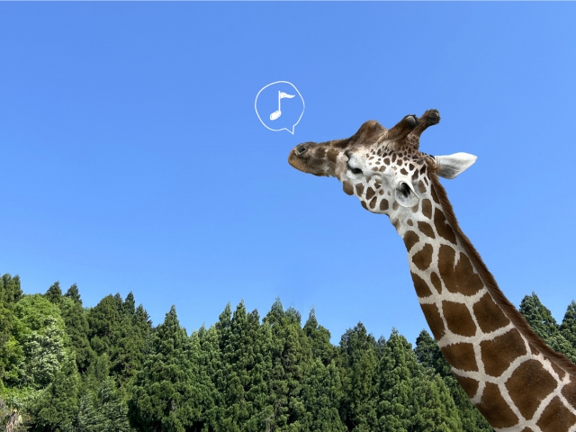 埼玉県こども動物自然公園ナイトズー攻略！混雑状況・駐車場・おすすめルートを解説