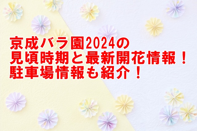 京成バラ園2024の見頃時期と最新開花情報！駐車場も紹介！