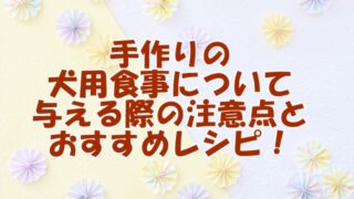 手作りの 犬用食事について 与える際の注意点と おすすめレシピ！