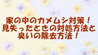 家の中のカメムシ対策！ 見失ったときの対処方法と 臭いの除去方法！