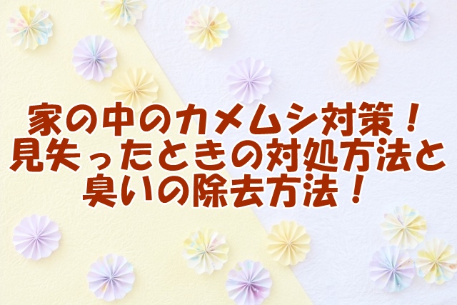 家の中のカメムシ対策！ 見失ったときの対処方法と 臭いの除去方法！