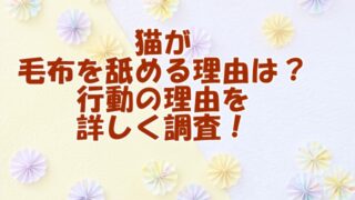 猫が毛布を舐める理由とは？その行動の背景を詳しく調査！