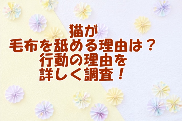 猫が毛布を舐める理由とは？その行動の背景を詳しく調査！