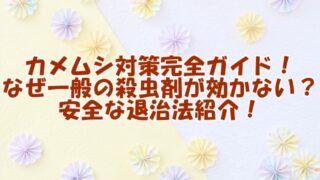 カメムシ対策完全ガイド！なぜ一般の殺虫剤が効かない？安全な退治法紹介！