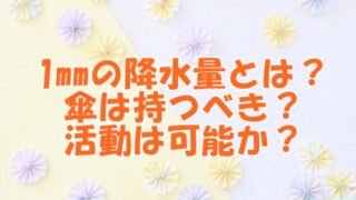 1mmの降水量とは？傘は持つべき？活動は可能か？